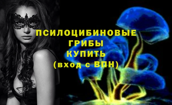 ALPHA-PVP Арсеньев