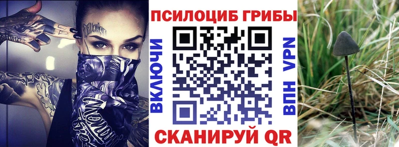 Галлюциногенные грибы Cubensis  Нижний Тагил 